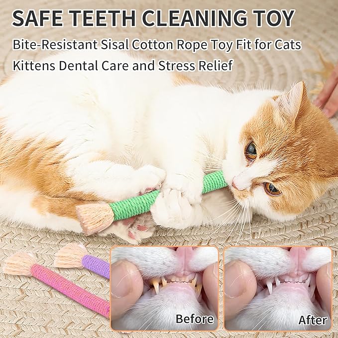 Retro Shaw Kitten Toys Catnip Rope,Cat Toys Chew Ropes 6 Pack,Kitten Teething Toys for Indoor Kittens Kitty,Interactive Cat Kicker Toys Small Cat Nip Toy Safe String 6.1 Inches