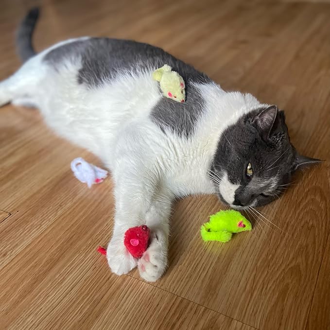 SPOT Colored Plush Mice Cat Toy - Rattle and Catnip Toy for Indoor Cats and Kittens - Bright Colored Classic Toy for Batting and Chasing Around - Fun Entertainment for Hours - 4.5inch Assorted 4-Pack