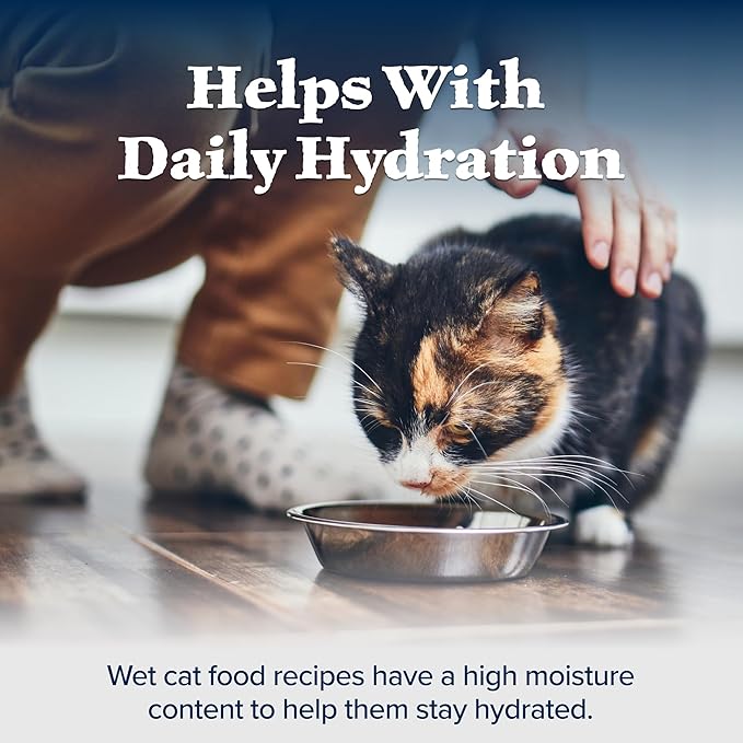 Blue Buffalo Wilderness Wild Delights Adult Flaked Wet Cat Food, High-Protein & Grain-Free, Made with Natural Ingredients, Chicken & Trout Recipe in Tasty Gravy, 3-oz Cans (24 Count)