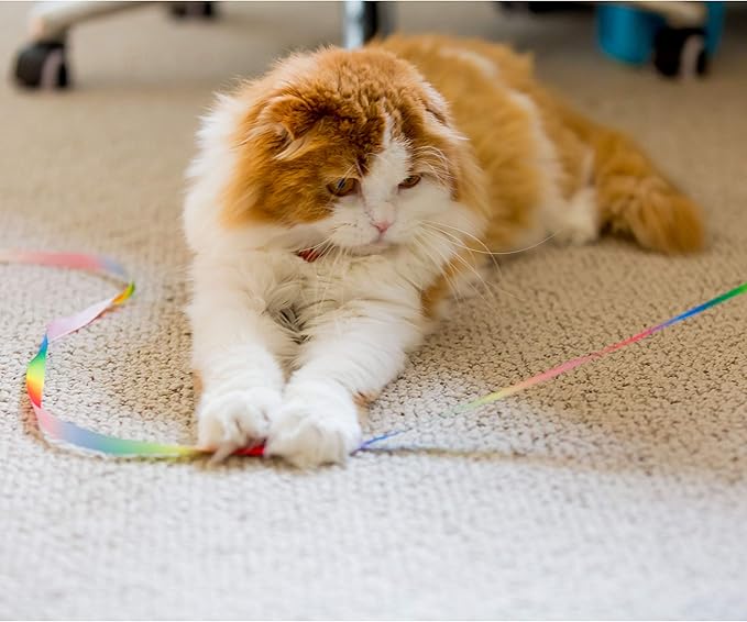 Youngever 15 Cat Toys Kitten Toys Assortments, Cat Crinkle Play Mat, Cat Teaser Wand Interactive Toys Cat Springs, Crinkle Balls for Cat, Puppy, Kitty, Kitten