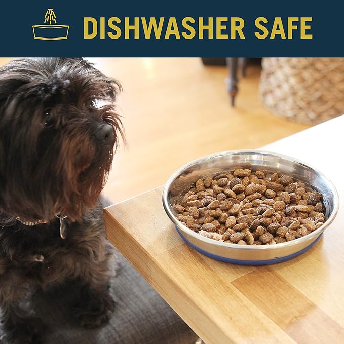 OurPets Durapet Cat Bowl or Dog Bowl (Heavyweight Durable Stainless Steel Cat Food Bowl, Cat Water Bowl, Dog Food Bowl or Dog Water Bowl) [Holds up to 1.75 Cups of Dry Cat Food or Dry Dog Food