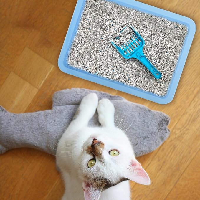 6pcs Kitten Litter Box, Plastic Cat Litter Trays Colorful Kitten Litter Pan Cat Waste Tray for Indoor Kittens (6 Colors)