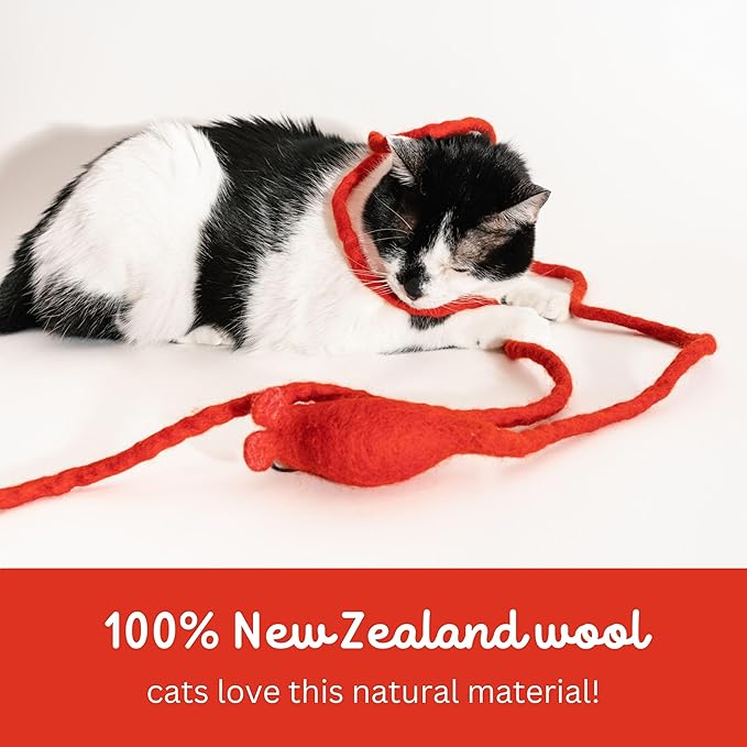 Catch a Mouse by The Tail Wool Cat Mouse Toy with a 6-Foot Tail for Indoor Cats Kittens. Cute Cat Toy Mouse Cat Toy. Rat Plush Toy, Fake Mouse, Mice. No Catnip. Pride (Rainbow Tail)