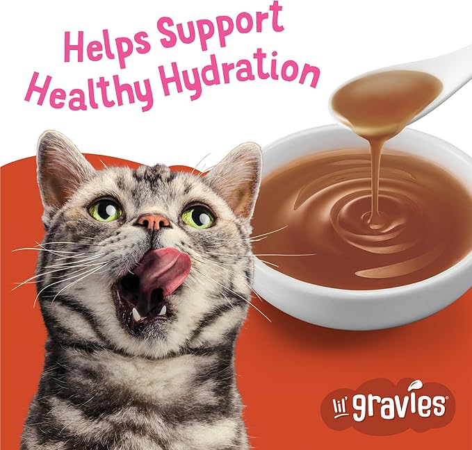 Purina Friskies Lil' Gravies Savory Salmon Flavor Cat Food Complement Lickable Cat Treats - (Pack of 16) 1.55 oz. Pouches