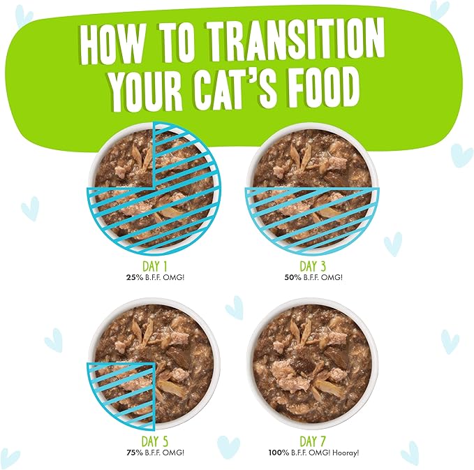 Weruva B.F.F. OMG - Best Feline Friend Oh My Gravy!, Shazaam! with Lamb & Tuna in Gravy Cat Food, 2.8oz Pouch (Pack of 12)