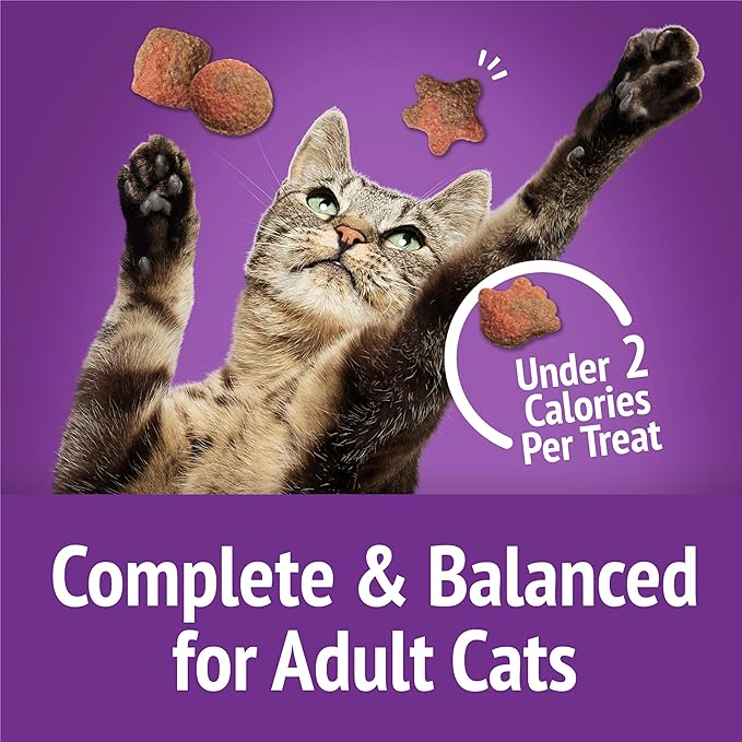Purina Friskies Cat Treats, Party Mix Gravy-licious Crunch Turkey and Gravy Flavors - (Pack of 10) 2.1 oz. Pouches