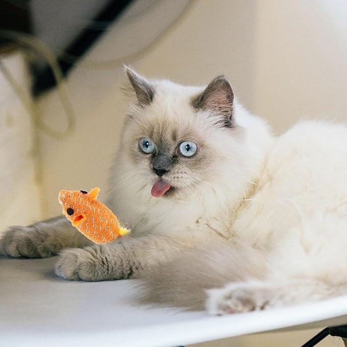 TEHAUX 10pcs Cat Toy Mice, 2.8” Mouse Cat Playing Props Cat Color Tail Mouse Toy Cat Teaser Interactive Toy Funny Cat Toy Mouse Toys for Cats Kitten, Random Color