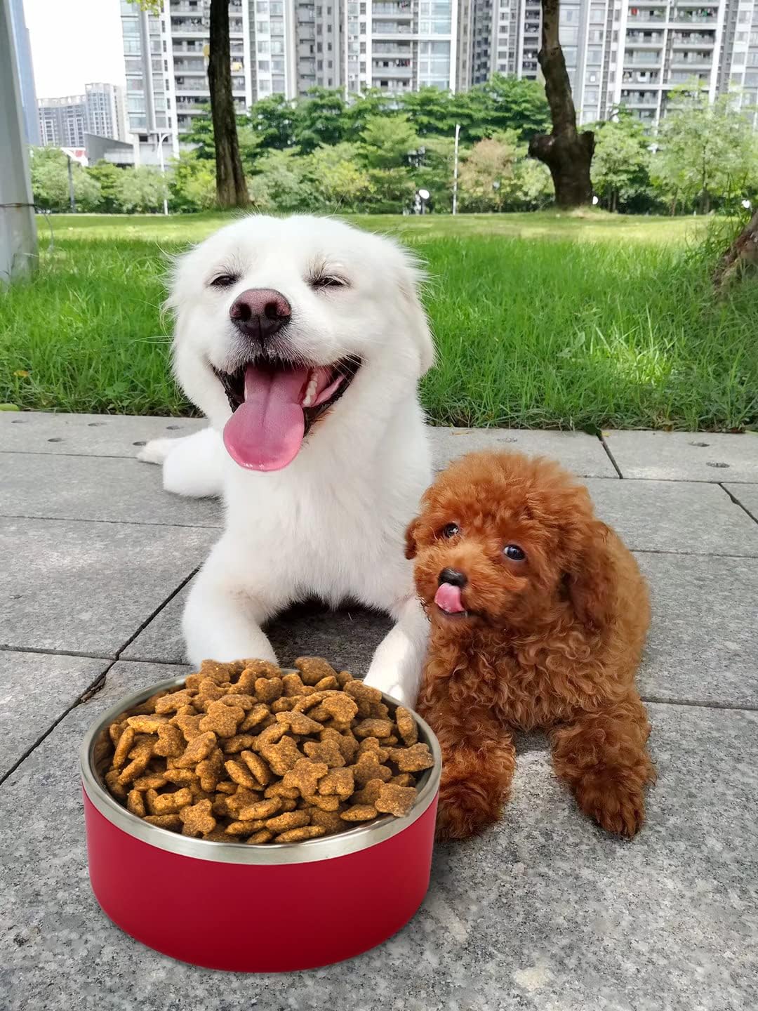 IKITCHEN Dog Bowl for Food and Water, 64 Oz Stainless Steel Pet Feeding Bowl, Durable Non-Skid Double Wall Insulated Heavy Duty with Rubber Bottom for Medium Large Dogs (64 Ounces/8 Cup, Red)