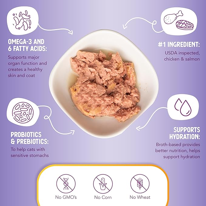 Health Extension Cat Health and Maintenance Bundle - Enzymatic Stain & Odor Remover (32 Oz), Wet Cat Food Canned Chicken & Salmon Recipe (2.8oz), Dry Cat Food Turkey & Salmon Recipe (15 Lbs)