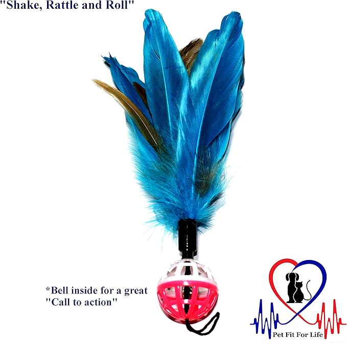 Pet Fit For Life 4 Piece Dual Rod Feather Teaser and Exerciser for Cat and Kitten - Cat Toy Interactive Cat Wand…