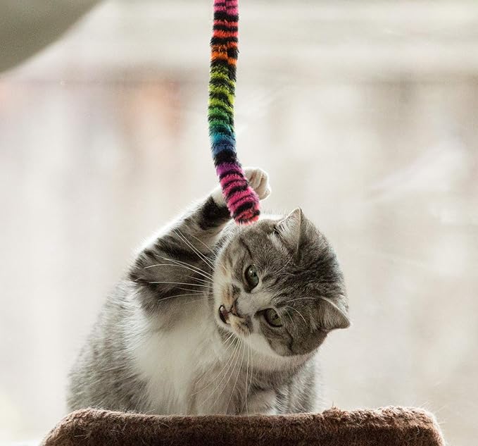 Youngever 12 Pieces Cat Toys Teasing Feather Toy, Retractable Wand with Assorted Teaser Refills, Interactive Feather Teaser Wand Toy Bell Kitten Cat Having Fun Exerciser Playing