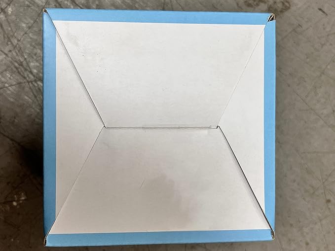 Bear Cute Mugs Kawaii Double Wall Glass Coffee Tea Mill Yogurt Cup Funny Novelty Gift for Women Her Friends Office Birthday Christmas