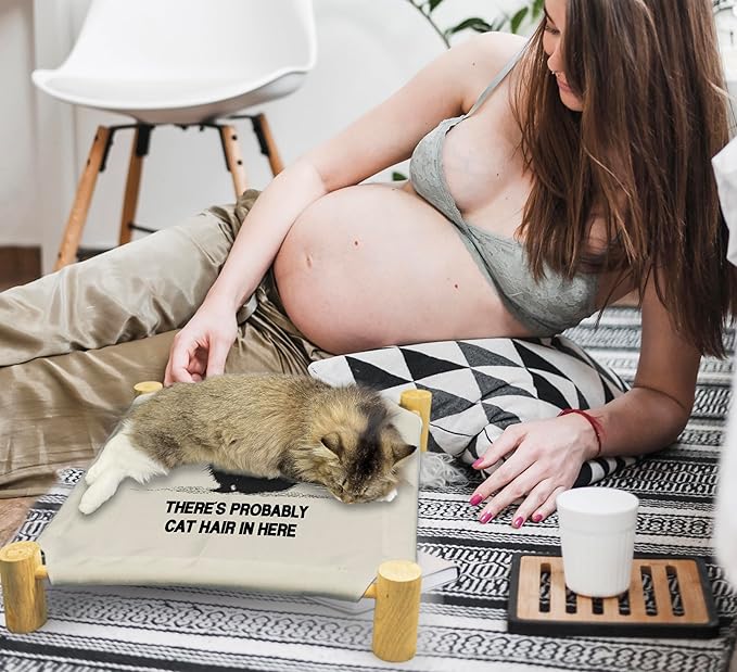 There's Probably Cat Hair in Here Cat Beds, Wooden Cat Beds for Indoor Cats, Small Animal Beds for All Seasons for All Seasons, Pet Beds, Elevated Cat Bed, Cat Hammock