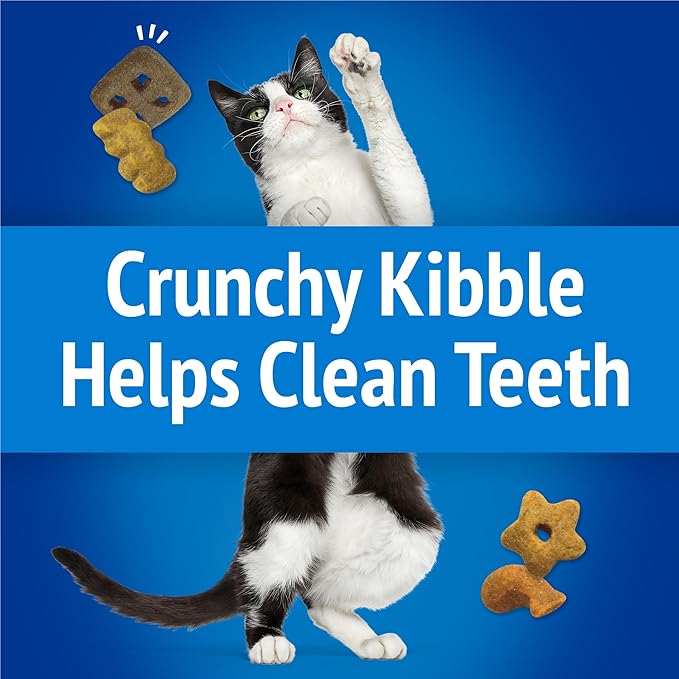 Purina Friskies Cat Treats, Party Mix Beachside Crunch - (Pack of 6) 6 oz. Pouches