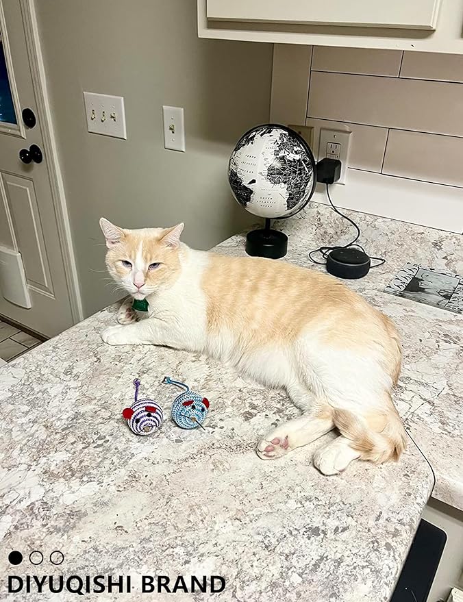 Cat Toys – 14PCS Set with Organic Catnip for Indoor Cats – Sturdy, Safe, and Fun Toys for Cats