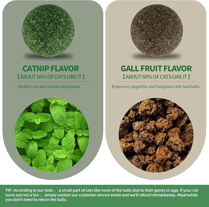 RZM 2 Pcs Catnip and Gall Fruit Ball Toys, Catnip Balls That Stick on Wall, Catnip Toys for Cats, Catnip Wall Balls for Cats Lick, Cat Self-Groomer and Face Scratcher for Indoor Cats, Cat Massage