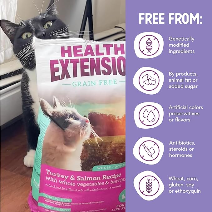 Health Extension Dry Cat Food, (15 lb / 6.8 kg) - Turkey & Salmon Recipe with Whole Vegetables, Berries, Added Vitamins & Minerals, Suitable for All Cats & Kittens