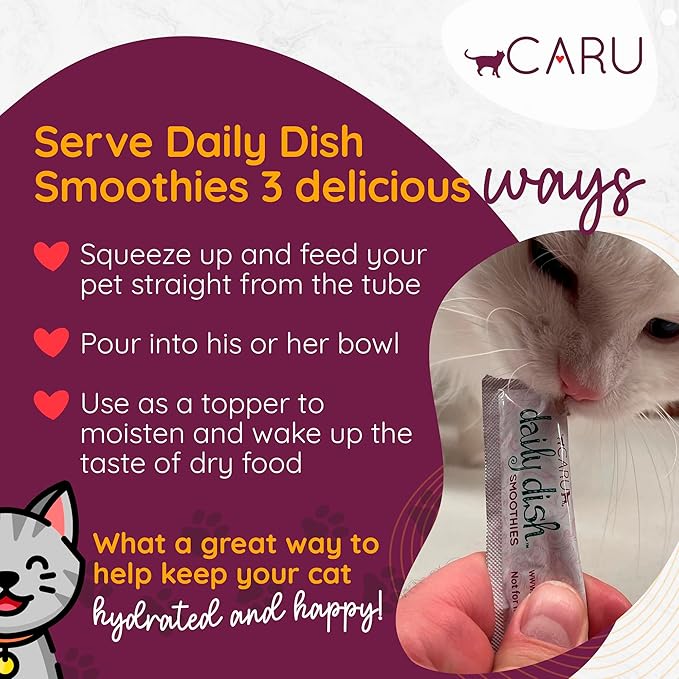 Caru - Daily Dish Smoothies - Lickable Tuna & Salmon Cat Treat - 4 Pouches per Pack - Pack of 12