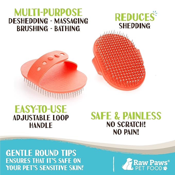 Raw Paws Grooming Brush, 1 ct - Hand-Held Rubber Tipped Pin Brush for Dogs & Cats - Dog Pin Brush - Dog Brush for Shedding - Bath Brush for Dogs with Short Hair & Long Hair - Dog Grooming Brush
