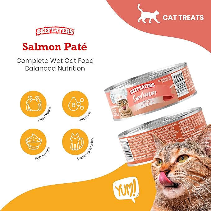 Beefeaters Cat Treats - Salmon Pate 3oz, Case of 24 | Nutrient-Rich Wet Cat Food, Essential Vitamins & Taurine, No Artificial Additives | Supports Immune System & Vision | Training Treats