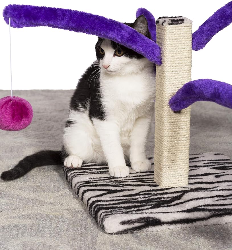 Prevue Pet Products Kitty Power Bounce 'n Spring Scratcher Furniture purple Small