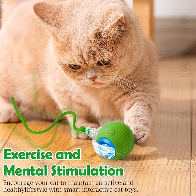 Interactive Cat Toy - Cat Toys for Indoor Cats Smart Silicone Rolling Ball with Tail,Bird Sound,Obstacle Avoidance and Motion Activated,Kitten Puzzle Toys for Bored Indoor Adult Cats & Dogs (Green)
