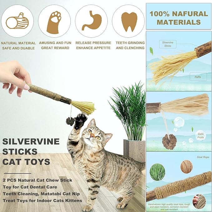 Interactive Cat Toys for Indoor Cats,4PCS Retractable Cat Feather Toy, 2PCS Silvervine Sticks Catnip Toys for Teeth Cleaning,2PCS Bouncy Ball Cat Toy w/Tail,Kitten Toys for Chasing Exercise