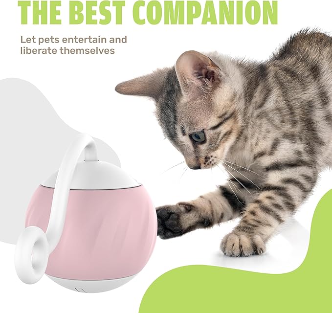 Auto Rolling Cat Ball Toy - Interactive Self Moving Automatic Cat Toy with Tail Feather Attachments - Slow & Fast Speed, LED Rainbow Lights, Sound & Touch Activated - USB-C Rechargeable