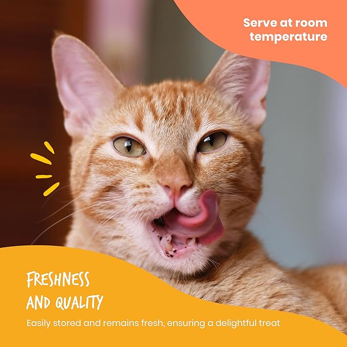 Beefeaters Cat Treats - Salmon Recipe Lickable Puree 1.59oz, Case of 12 | Real Cat Food Salmon Treat | No Corn/Soy/Wheat, Sugar-Free | Training Treats