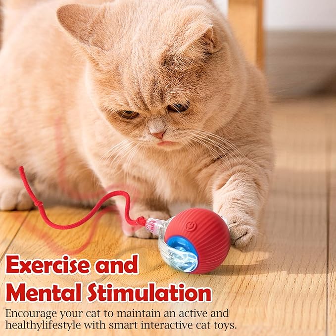 Interactive Cat Toy - Cat Toys for Indoor Cats Smart Silicone Rolling Ball with Tail,Bird Sound,Obstacle Avoidance and Motion Activated,Kitten Puzzle Toys for Bored Indoor Adult Cats & Dogs (Red)