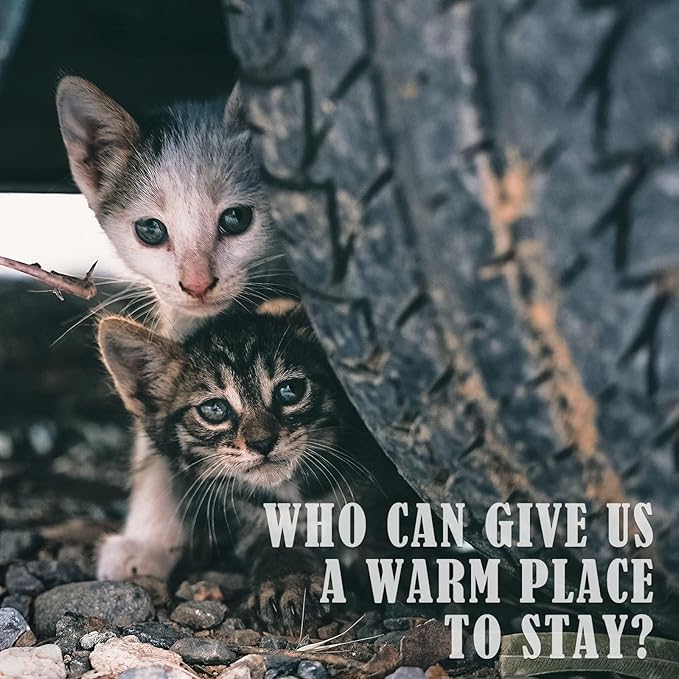 PETNF Outdoor Heating Pad for Cats, Pet Heating Pad for Outdoor Cat House,Safe Electric Cat Warming Pad,Waterproof Heated Cat House for Outside Feral Cat Animal,Outdoor Heat Cat Dog Bed Mat, 20"X16"