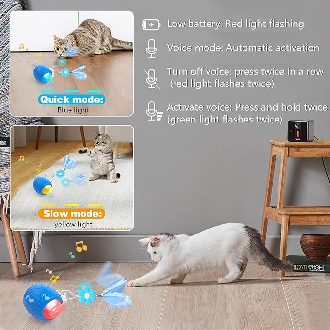 Indoor Cat Toys Ball: Automatic Rolling Ball with Motion-Activated Chirping for Engaging Cats -USB Rechargeable