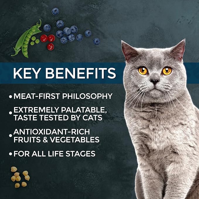 Fussie Cat Market Fresh Salmon Recipe,Dry Cat Food, 10lb Bag