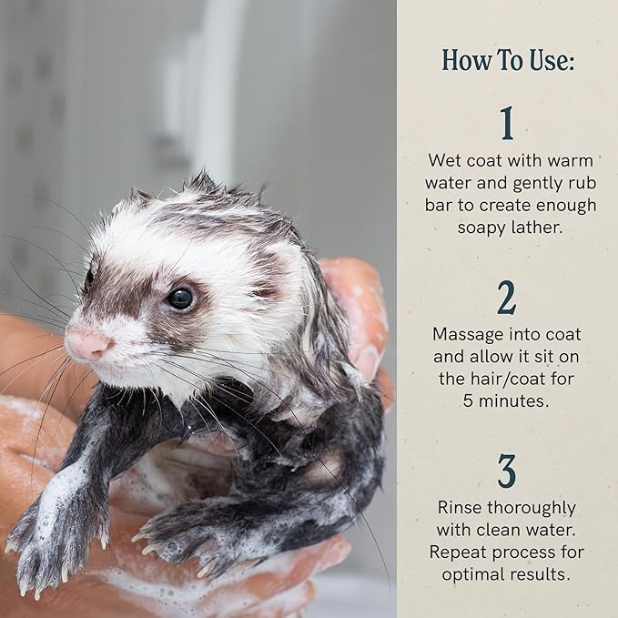 J·R·LIGGETT'S Pet Shampoo Great for Sensitive Skin-Relieves Dry, Itchy Skin-Hypoallergenic and Biodegradable Formula–100% Detergent-Free