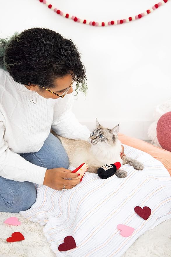 Pearhead Pet Cheese and Wine Plush Cat Toys, Set of 2, Valentine's Day Dog Toys, Wine and Cheese Catnip Toys, Crinkle Cat Toys, Cat Owner Valentine's Day Keepsake