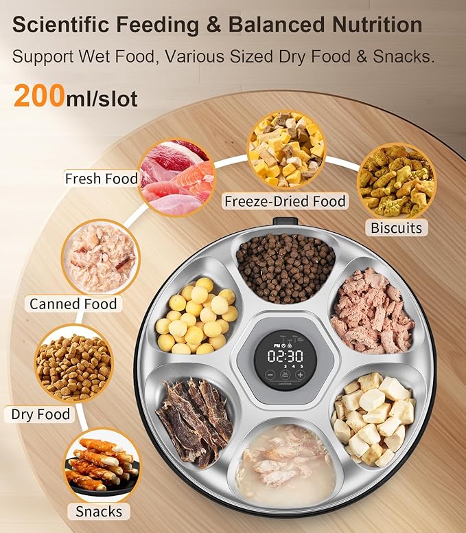 Casfuy Automatic Cat Feeder Cordless - Automatic Cat Food Dispenser with Stainless Steel Tray for Wet Food Rechargeable Auto Feeder for Cats Small Dogs with Programmable Timer Low Battery Indicator