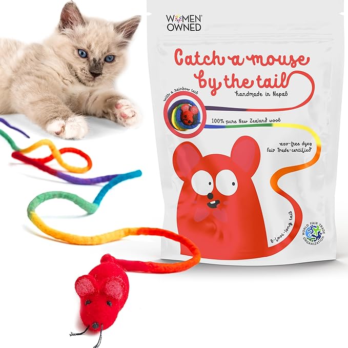Catch a Mouse by The Tail Wool Cat Mouse Toy with a 6-Ft Tail for Indoor Cats Kittens. Cute Toy Mouse, Mouse Cat Toy, Rat Plush Toy, Fake Mice. No Catnip. Pride (Rainbow)
