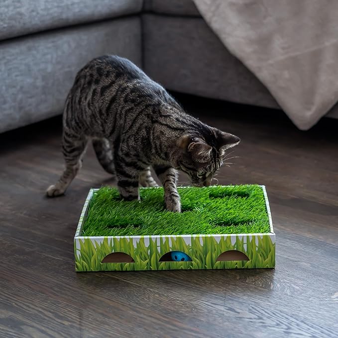 Catstages Grass Patch Hunting Box Cat Toy