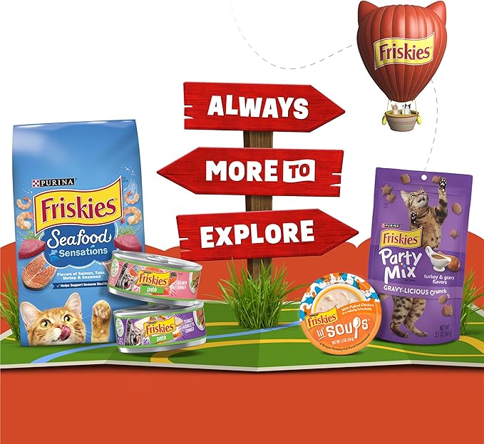 Purina Friskies Lil' Gravies Savory Salmon Flavor Cat Food Complement Lickable Cat Treats - (Pack of 16) 1.55 oz. Pouches