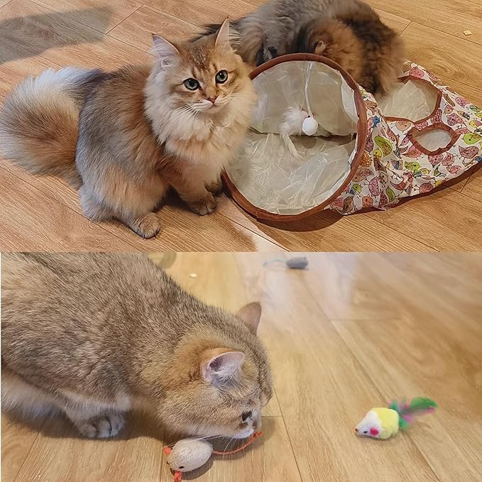 Cat Toys Tunnel Bag Toys Set, Fun Cat Tunnel Bag with 22pcs Rich Interactive Cat Toys, Cat Toy Gift Collection for Indoor Kittens or Cats, Interactive Cat Exercise Toys (Pink)