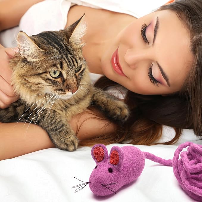Glaciart One Felt Mouse Cat Toy – Soft Fuzzy Enrichment 100% Natural Wool Toy - Interactive Catnip Play Cat Toy Set - Safe for Pets, Non-AZO Colored Dyes - 100” Long