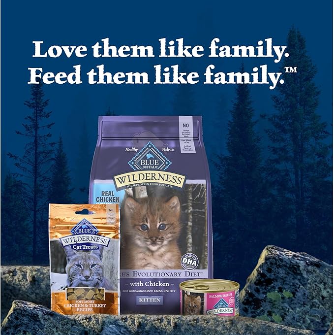 Blue Buffalo Wilderness Natural High Protein Grain Free Salmon Pate Wet Food for Kittens, 3 oz., Case of 24