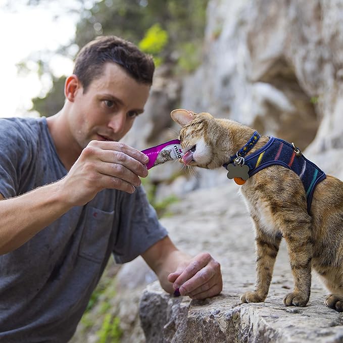 Nulo Freestyle Grain-Free Perfect Purees Premium Wet Cat Treats, Squeezable Meal Topper for Felines, High Moisture Content to Support Cat Hydration, 0.5 Ounces in Each Lickable Wet Cat Treat Pouch