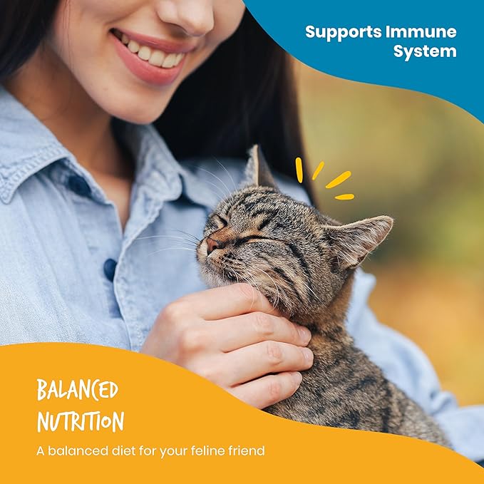 Beefeaters Cat Treats - Tuna Chunk in Gravy 3oz, Case of 24 | Premium Wet Cat Food, Rich in Vitamins & Taurine | No Artificial Additives | Training Treats