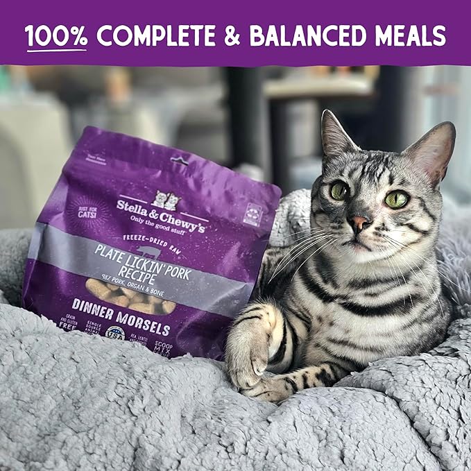 Stella & Chewy's Freeze-Dried Raw Cat Dinner Morsels – Grain Free, Protein Rich Cat & Kitten Food – Plate Lickin' Pork Recipe – 3.5 oz Bag