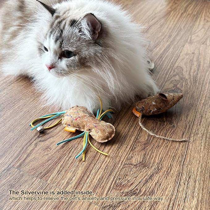 Cat Insect Toy with Catnip Matatabi Silvervine,Cat Chew Toy,Interactive Catch Play Insect Toy for Indoor Cats,Kittens.