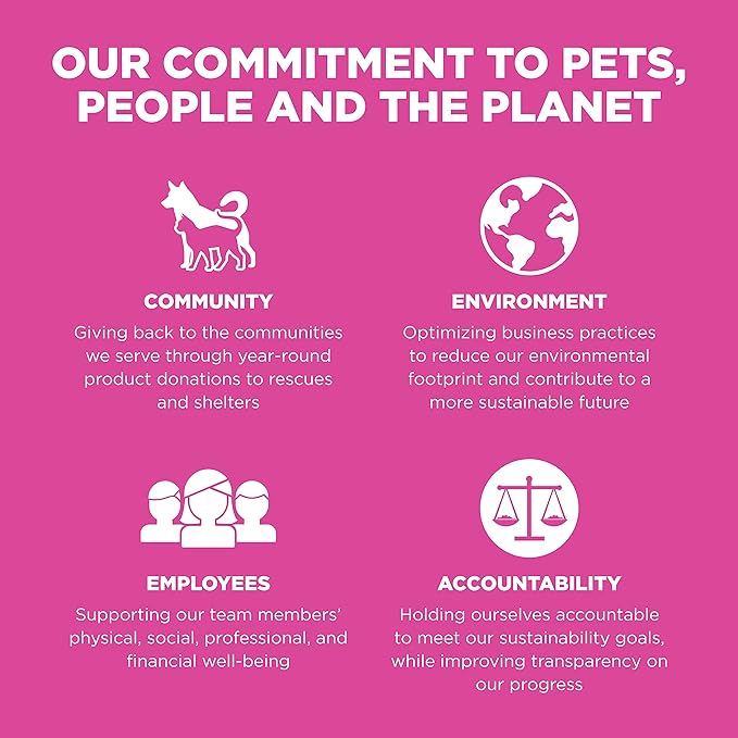 Go! Solutions Skin + Coat Care, Dry Cat Food, Chicken Recipe with Grains, 16 lb Bag