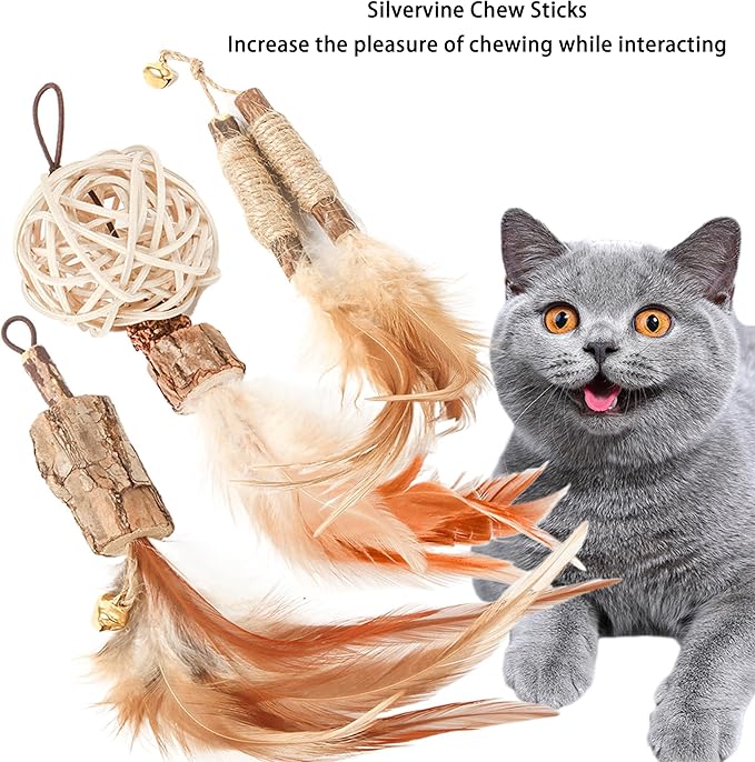 Cat Feather Toys Refills Cat Wand Replacement 6Pcs,Cat Teaser Wand Refills with Feather and Silvervine Sticks for Indoor Cat Chew Toy,Interactive Cat Wand Toy Refills