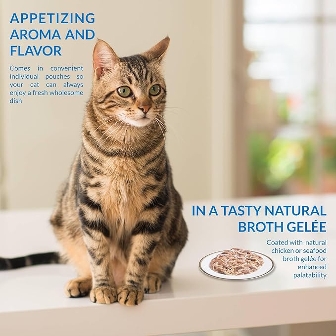 INABA Twin Packs for Cats, Shredded Chicken & Broth Gelée Side Dish/Topper Pouch, 1.4 Ounces per Serving, 12 Pouches, Chicken Recipe in Chicken Broth
