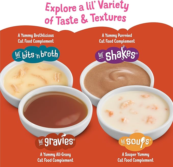 Purina Friskies Lil' Gravies Savory Salmon Flavor Cat Food Complement Lickable Cat Treats - (Pack of 16) 1.55 oz. Pouches